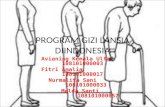 Program Gizi Lansia Diindonesia