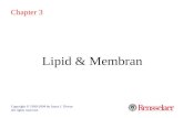 3. Lipid Dan Membran