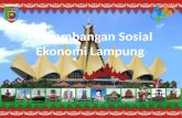 Social and economic analyst of lampung