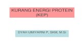 Kurang Energi Protein PDF
