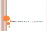 HISTAMIN & ANTIHISTAMIN