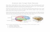 68062183 Anatomi Dan Fungsi Otak Manusia