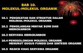 Bab10 Molekul Molekul Organik
