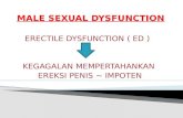 Farma-male Sexual Dysfunction