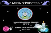 Ageing proses