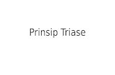 Prinsip Triase