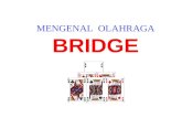 Bridge presentation1