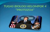 Protozoa Presentation