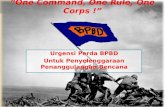 One command one rule one corps : Urgensi pendirian BPBD