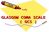 Glasgow coma scale (gcs)