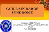 Guillain barre sindrom