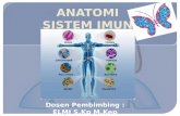 Anatomi Sistem imun