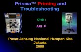 Prisma™  Priming And  Troubleshooting