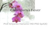 Cikungunya fever