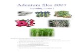 adenium files 2007 - bab 0 - halaman muka
