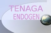 Tenaga Endogen