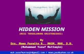 00-hidden mission
