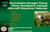 Bonggol pisang, alternatif biopolimer makanan