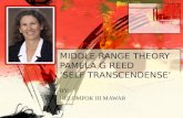 MIDDLE RANGE THEORY SELF TRANSCENDENCE