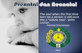Prenatal Dan Neonatal