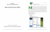MODUL Microsoft Excel 2003