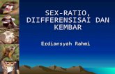 Sex Ratio-differensiasi Dan Kembar.