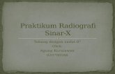 Praktikum Radiografi Sinar-X