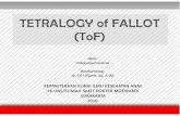 Tetralogy of Fallot - indrayana-