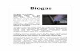3_5 Biogas