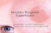 Keratitis Pungtata Superfisialis