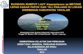 Diseminasi Budidaya Rumput Laut