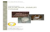 Investasi Budidaya Jamur Tiram