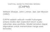 Capital Assets Pricing Model