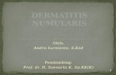 DERMATITIS NUMULARIS