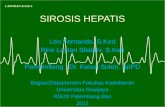PPT sirosis hepatis