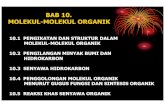 Bab10-Molekul-Molekul Organik