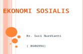 Ekonomi Sosialis