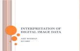 Interpretation of digital image data