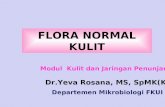 Flora Normal kulit-2010-UNTAN