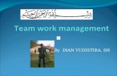 Team work management