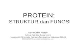 Fungsi Protein-Peb 2011