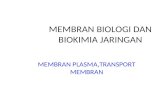 Membran Biologi Dan Biokimia Jaringan