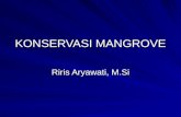 Biologi Mangrove (1)
