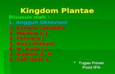 Kingdom Plantae 1
