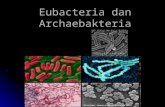 Eubacteria Dan Archaebakteria