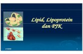 Lipid Pjk Tlk