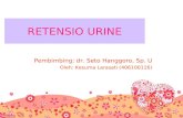 Retensio Urine