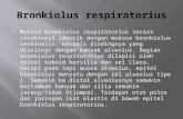 Bronkiolus respiratorius