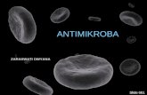 Antimikroba News