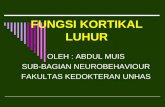 03 Neuropsychiatric System Kuliah Fungsi Kortikal Luhur Abm